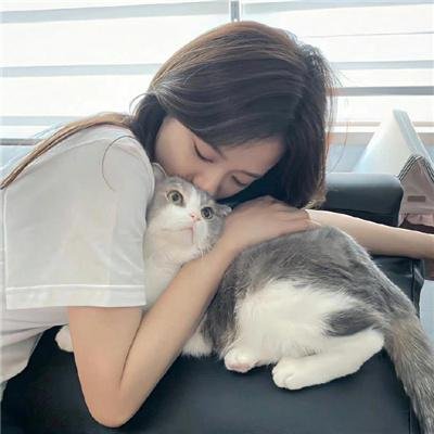真情玫瑰